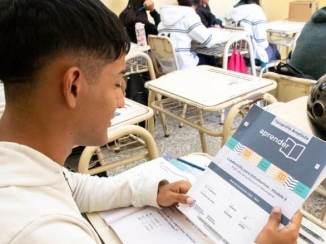 Educacin: bajos niveles de desempeo en reas clave
